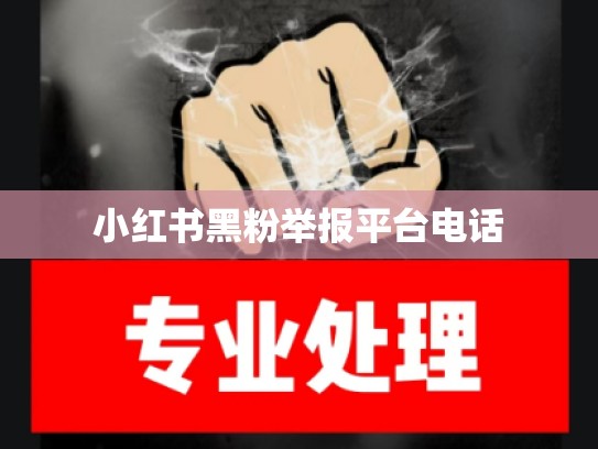 小红书黑粉举报平台电话