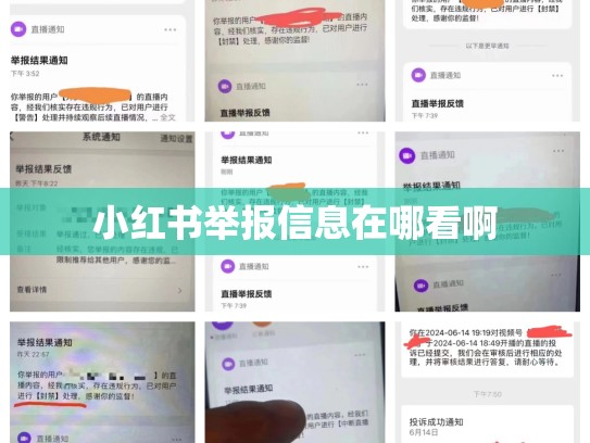 小红书举报信息在哪看啊