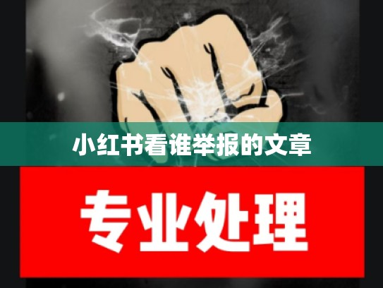 小红书看谁举报的文章