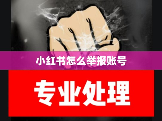 小红书怎么举报账号