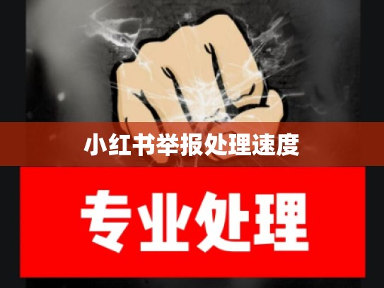 小红书举报处理速度