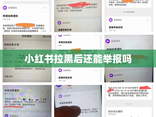 小红书拉黑后还能举报吗