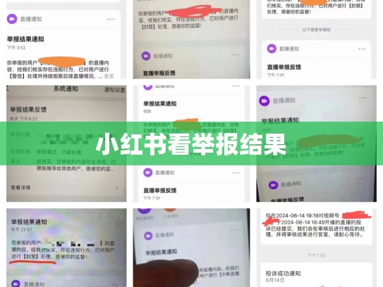 小红书看举报结果