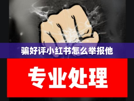 骗好评小红书怎么举报他