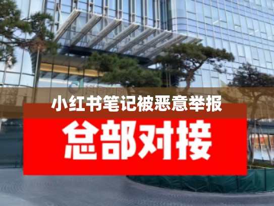 小红书笔记被恶意举报