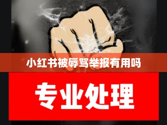 小红书被辱骂举报有用吗