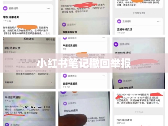 小红书笔记撤回举报