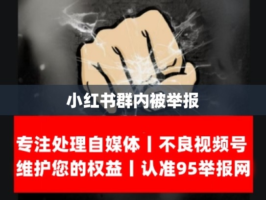 小红书群内被举报