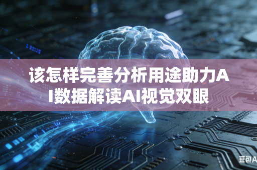 该怎样完善分析用途助力AI数据解读AI视觉双眼