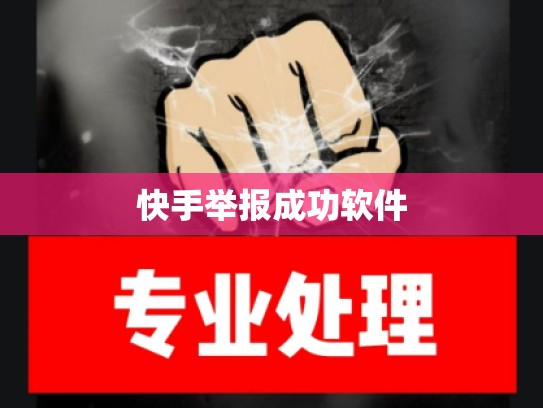 快手举报成功软件