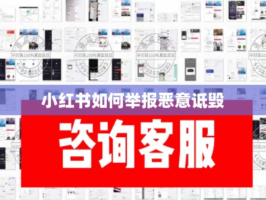 小红书如何举报恶意诋毁