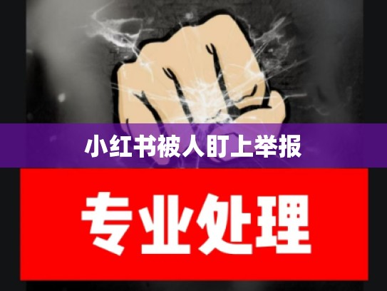 小红书被人盯上举报