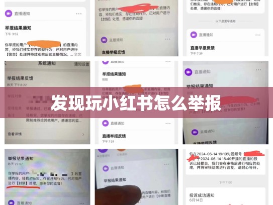 发现玩小红书怎么举报