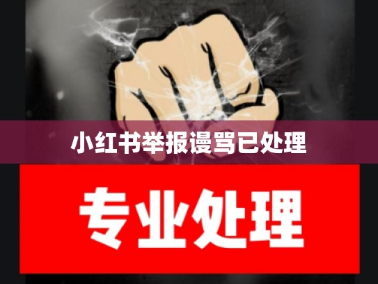 小红书举报谩骂已处理