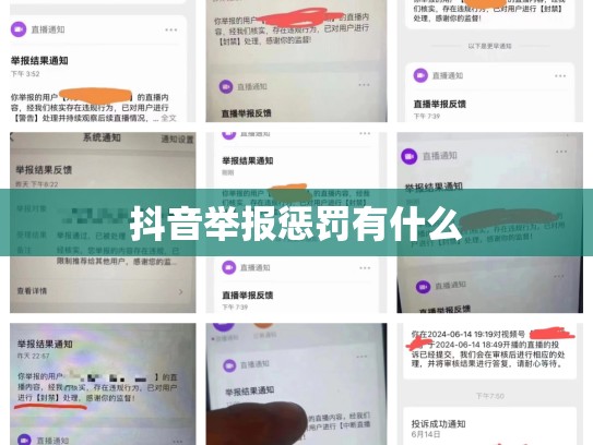 抖音举报惩罚有什么