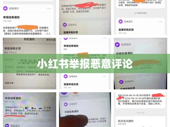 小红书举报恶意评论