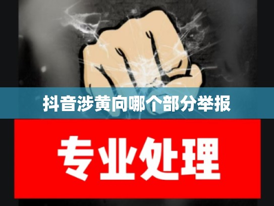 抖音涉黄向哪个部分举报