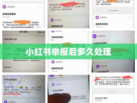 小红书举报后多久处理