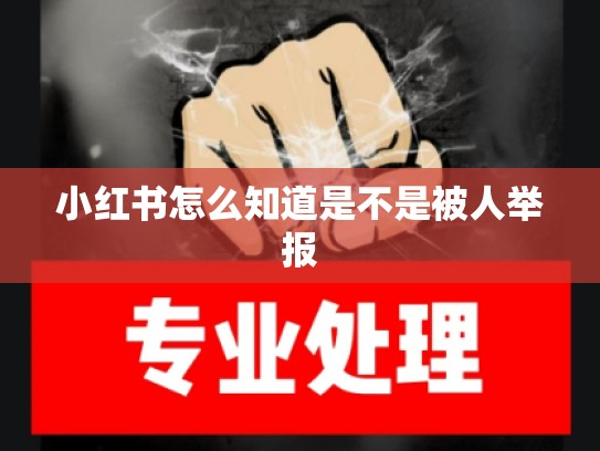 小红书怎么知道是不是被人举报