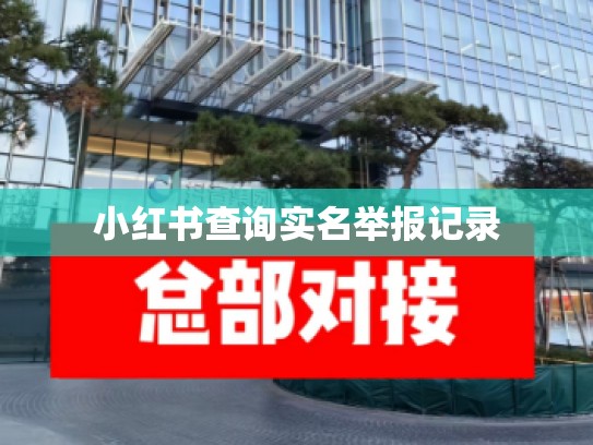 小红书查询实名举报记录
