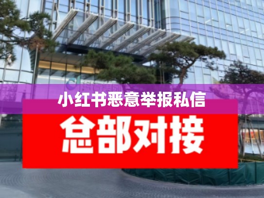 小红书恶意举报私信
