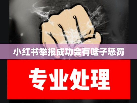 小红书举报成功会有啥子惩罚