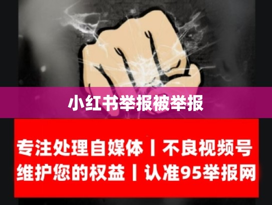 小红书举报被举报
