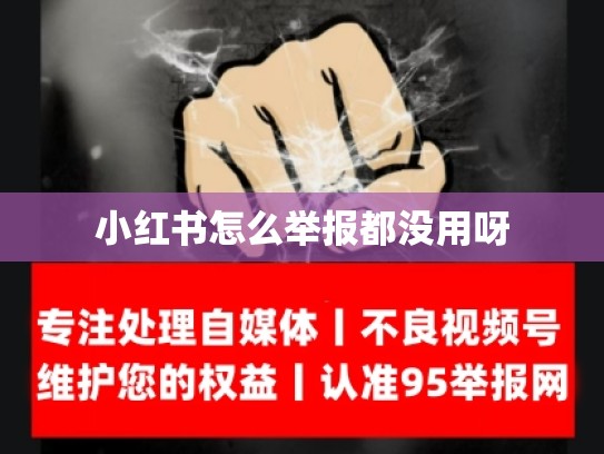 小红书怎么举报都没用呀