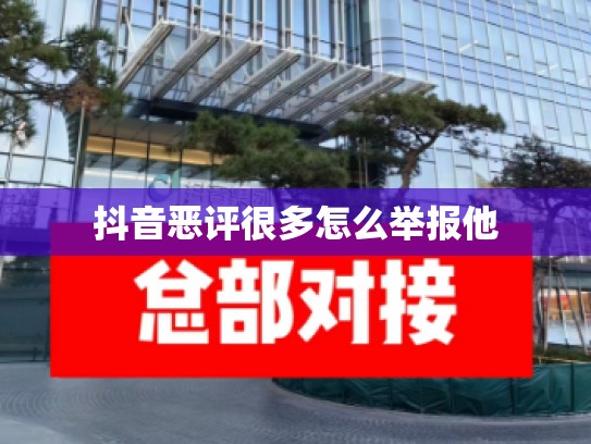 抖音恶评很多怎么举报他