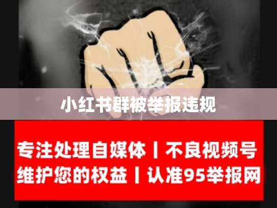 小红书群被举报违规