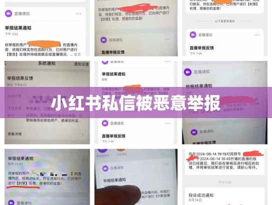 小红书私信被恶意举报