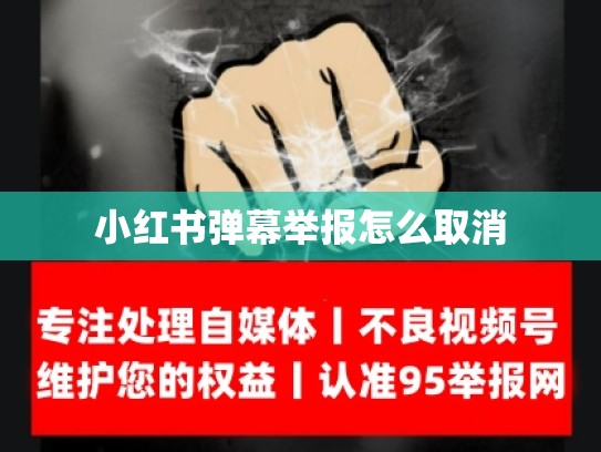 小红书弹幕举报怎么取消