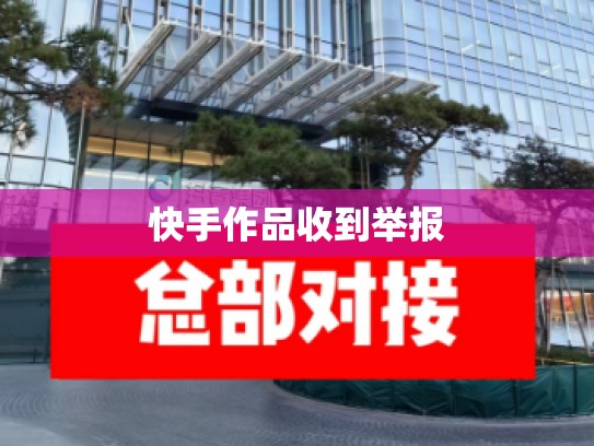快手作品收到举报