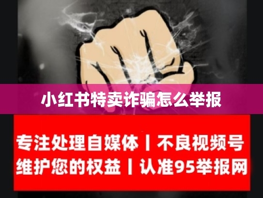 小红书特卖诈骗怎么举报