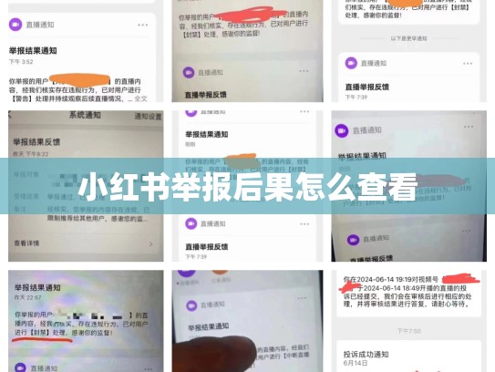 小红书举报后果怎么查看