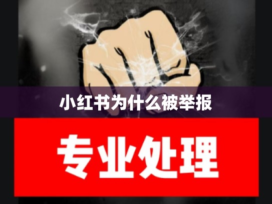 小红书为什么被举报