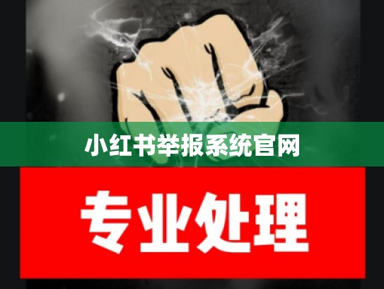 小红书举报系统官网