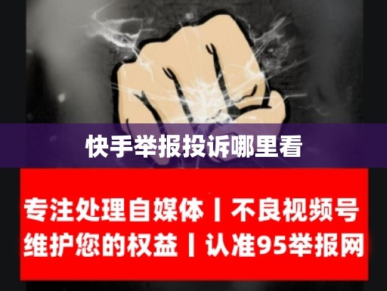 快手举报投诉哪里看