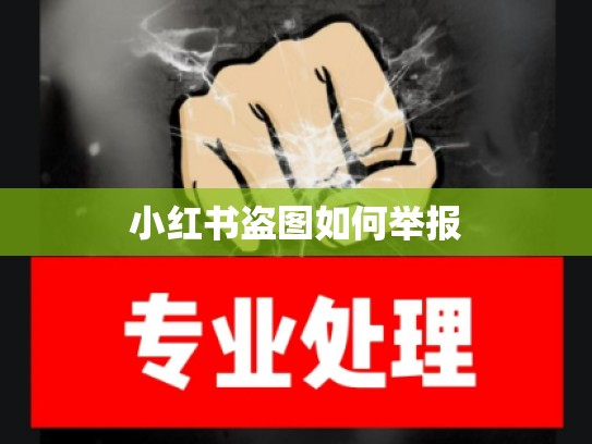 小红书盗图如何举报