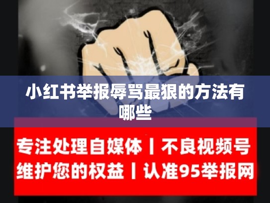 小红书举报辱骂最狠的方法有哪些
