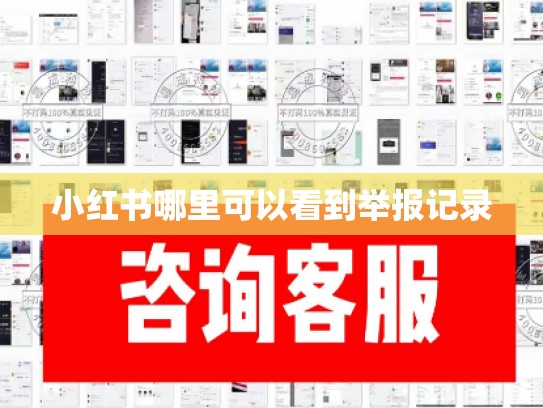 小红书哪里可以看到举报记录