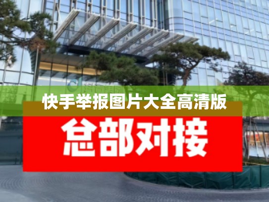 快手举报图片大全高清版