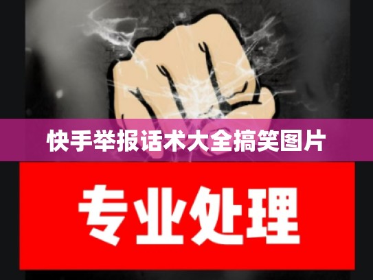 快手举报话术大全搞笑图片