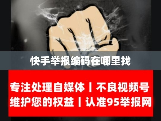 快手举报编码在哪里找