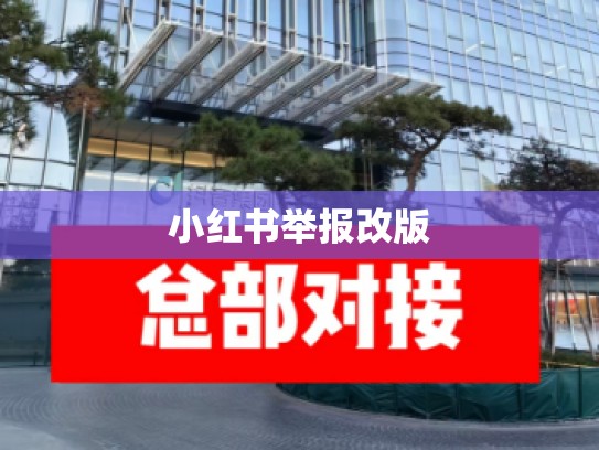 小红书举报改版