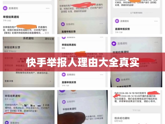 快手举报人理由大全真实