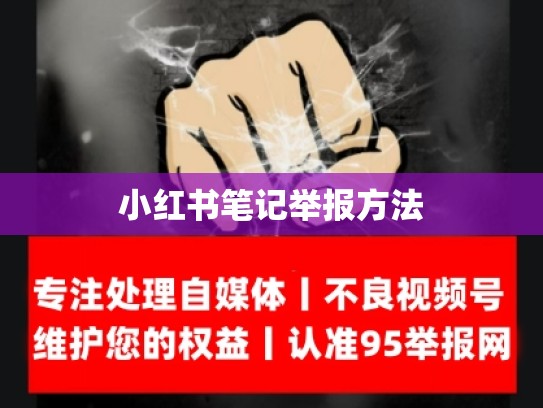 小红书笔记举报方法