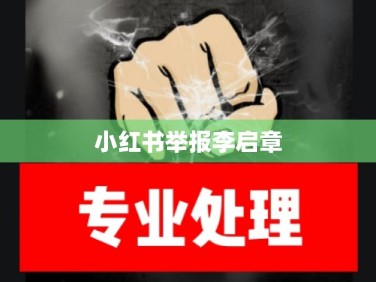小红书举报李启章