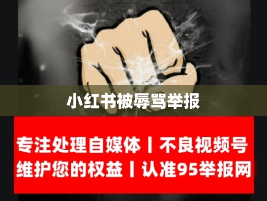 小红书被辱骂举报