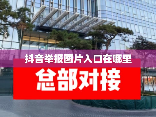 抖音举报图片入口在哪里